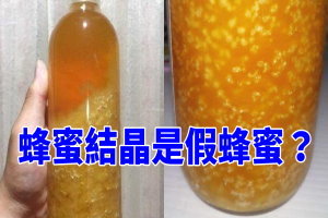 他上網問網友「這罐蜂蜜出現噁心結晶是壞了嗎」 沒想到網友們突然都變超好心：「我免費到府幫你丟  ！」