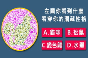 國外瘋傳！左圖你看到什麼？看穿你不為人知的潛藏性格！