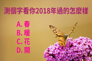 測個字看你2018年過的怎麼樣？