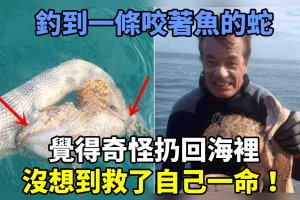 釣到一條咬著魚的蛇，覺得奇怪扔回海裡，沒想到救了自己一命！