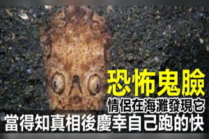 情侶在海灘上發現「恐怖鬼臉」嚇得趕緊落跑！得知「真相」後慶幸自己跑的真快！