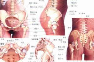 按摩必學，髖關節疼痛如何進行推拿治療？