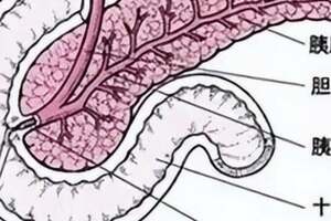 【提醒】孩子肚肚疼，當心「胰腺」在作怪！