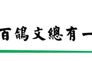 「東方皇后」97年上海千公里萬羽大賽當日歸巢鴿里的唯一國血