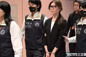 結束逃亡7年「難民」生涯！貴婦奈奈返台嘟嘴、詭笑 法界揭她背後盤算