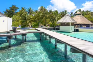 1國家宣布超狂禁菸令!2007年後出生者「終身不得買菸」旅客也適用 1國家宣布超狂禁菸令!2007年後出生者「終身不得買菸」旅客也適用