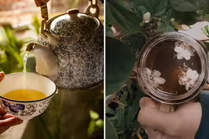 來台買好茶！日女「剩最後一罐捨不得喝」　台人熱心找到老闆