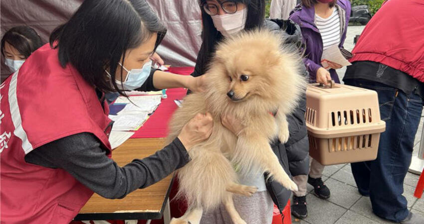 毛寶貝愛寵LIVE音樂會9／28登場 因應世界狂犬病日免費打疫苗