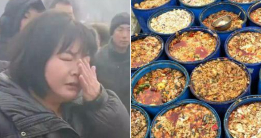 竟將「狗啃過的食物」拿給學生　多名學生上吐下瀉！家長氣到哭