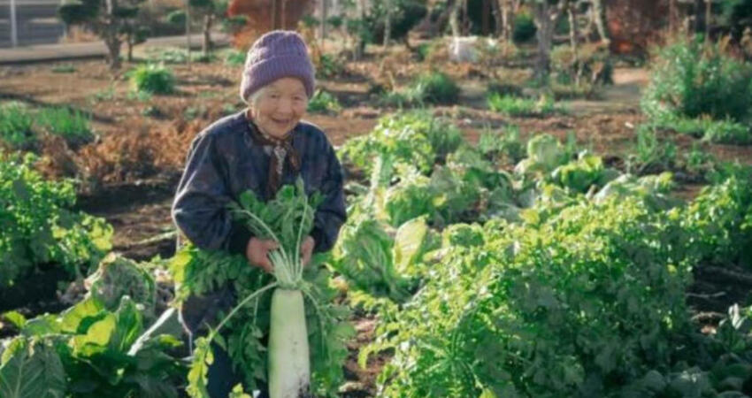 日本YTR最強阿嬤96歲了！影片吸170萬觀看數 願望曝光