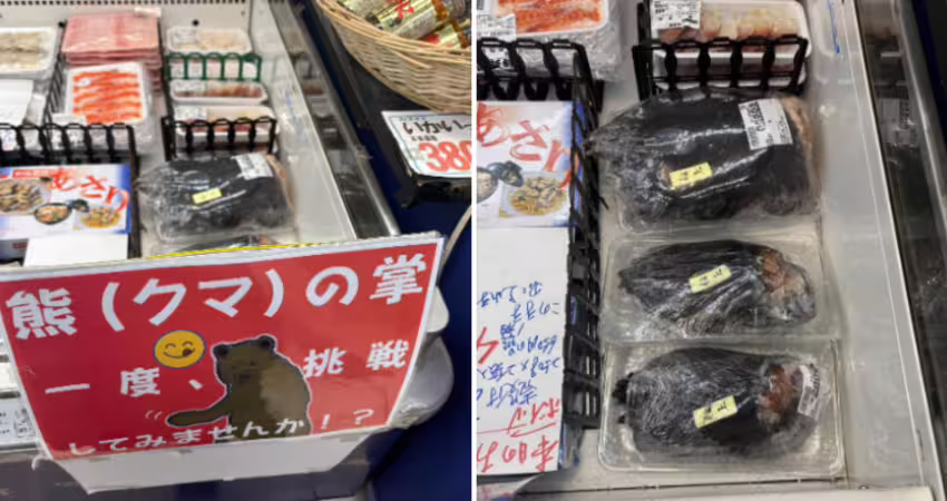 日本超市驚見「整隻熊掌販售」還有毛！驚人售價曝光