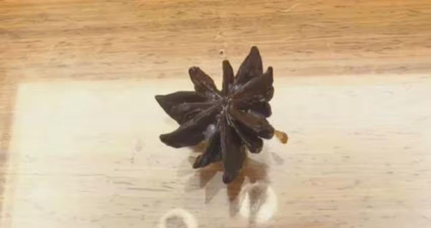 燉肉吃下肚　驚見「八角」有13角！她得知真相嚇壞