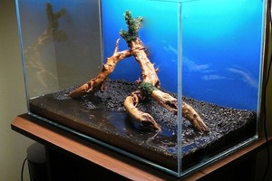 試用VITALUX AQUARIST LED水草燈具@接觸水草缸20年的玩家