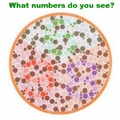色盲測試：圖中是哪三個號碼？請列出～70%的人只能列出2個！你呢？