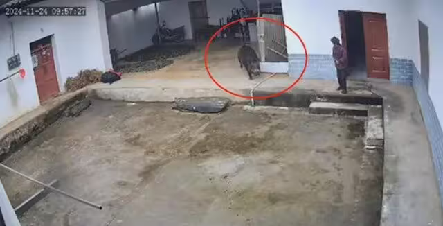 %e8%80%81%e5%a9%a6%e6%85%98%e9%87%8e%e8%b1%ac%e6%92%9e