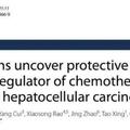 持續聚焦科研創新 北京大學國際醫院高質量醫學研究碩果纍纍