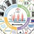 從四個方面深度剖析微針在傷口癒合及組織再生中的應用