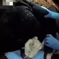 遭刺穿心臟！男大生狂喊「我不能呼吸」　警不信堅持上銬逮捕後斷氣