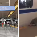 男子橫跨鐵軌　遭活活夾在縫隙