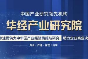 一天研究一個行業：中國布洛芬原料藥及製劑行業市場深度分析