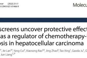 持續聚焦科研創新 北京大學國際醫院高質量醫學研究碩果纍纍