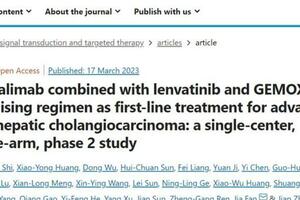 STTT | 復旦大學周儉/樊嘉發現晚期肝內膽管癌的潛在一線治療方案