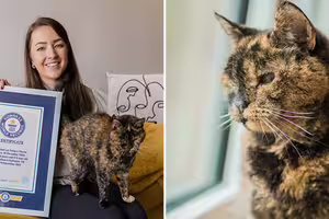 「世上最老貓」活過兩任飼主　相當於人類123歲