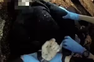 遭刺穿心臟！男大生狂喊「我不能呼吸」　警不信堅持上銬逮捕後斷氣