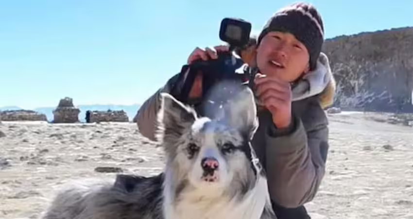 百萬網紅邊牧犬遭偷　被轉賣到狗肉館宰殺！飼主崩潰氣炸