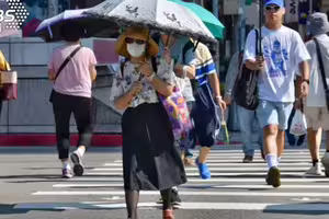乳癌權威周佳正過馬路被撞死 百萬YTR轟：在日本早就被抓了