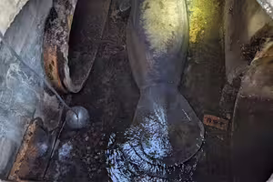 下水道驚見「186公斤美人魚」!搜救隊緊急出動吊車救援 下水道驚見「186公斤美人魚」!搜救隊緊急出動吊車救援