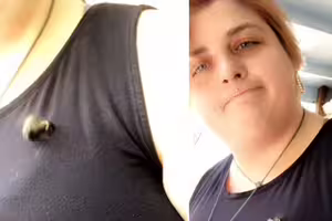 2蜜蜂停在衣服上激烈「嗡嗡嗡」　她一臉無奈：拜託去開房間！