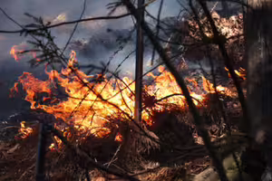 日本驚爆重大災情　多達3000人緊急避難