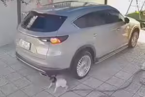 車輛倒車意外！女童誤入盲區遭兩度輾過