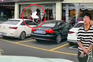 司機按喇叭提醒路人有車 「反被男生扔紙」 男生家長:你欺負小孩 司機按喇叭提醒路人有車 「反被男生扔紙」 男生家長:你欺負小孩
