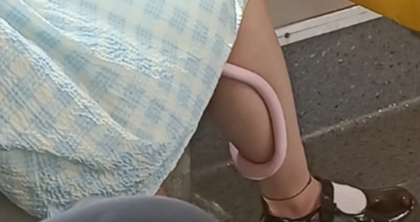 搭公車看到洋裝女孩「小腿有東西」　近看嚇出一身汗