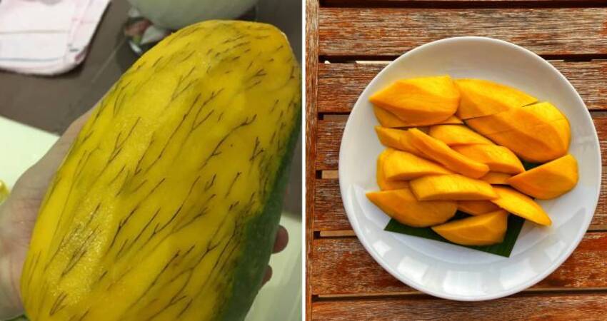 芒果削完皮「炸出腳毛」：還能吃嗎？過來人曝下場