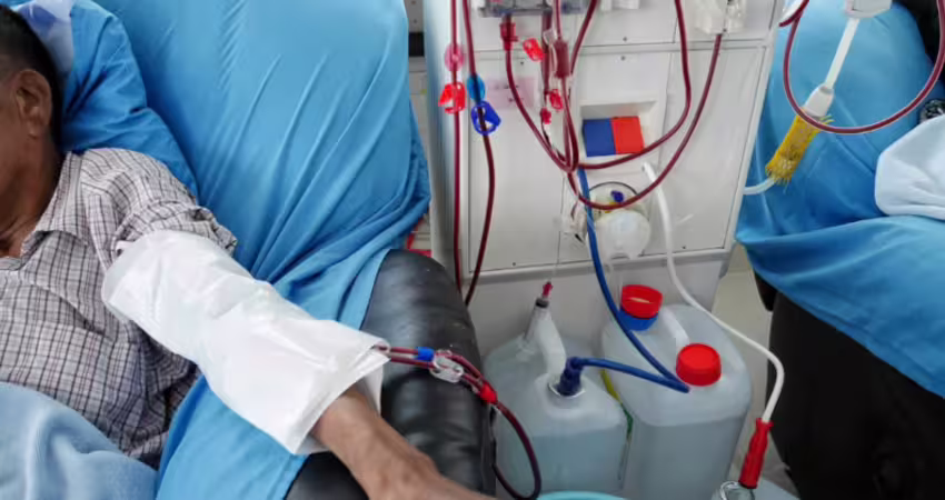 一般人也要注意！醫警告這水果「嚴禁連吃4顆」：恐變急性腎衰竭