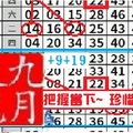 【九月玫瑰】11月08日把握當下~珍惜所有