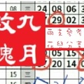 【九月玫瑰】「今彩539」02月15日 兩支參考!!花兒分享..~✿