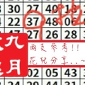 【九月玫瑰】「六合彩」02月25日 兩支參考!!花兒分享..~✿