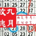 【九月玫瑰】「六合彩」03月02日 兩支參考!!花兒分享..~✿