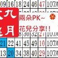 六合版九月玫瑰15帖07月07日兩朵PK花兒分享最美兩枝花