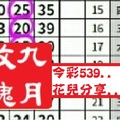 【九月玫瑰】12月26日今彩539..花兒分享..~✿