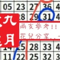   【九月玫瑰】「六合彩」02月14日 兩支參考!!花兒分享..~✿