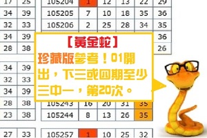 【黃金蛇】金彩11月04日珍藏版參考！三顆球！