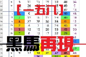 【一五八】11月08日黑馬再現~希望之神