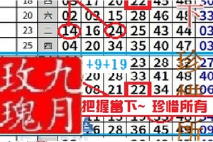 【九月玫瑰】11月08日把握當下~珍惜所有