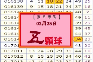 【彩色斑馬】「六合彩」02月28日 5顆球試試看!!