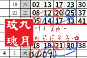 【九月玫瑰】「六合彩」04月01日 叫小賀pk1~兩朵花參考~✿